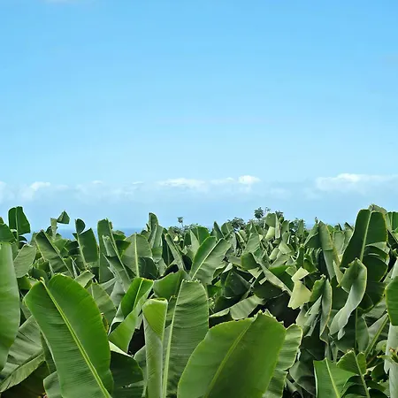 Lägenhet Puerto Hills